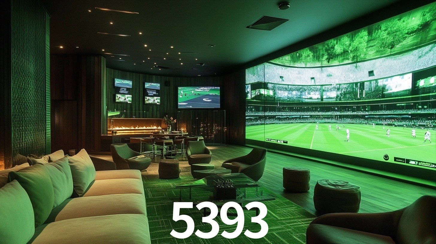 5393.com