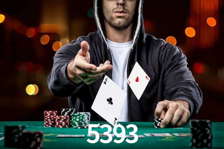 5393.com
